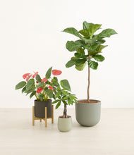 Load image into Gallery viewer, Countryside stand:one_stand