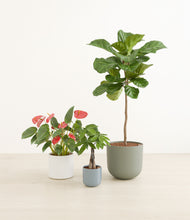 Load image into Gallery viewer, Whispering Waves*****Profile