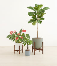 Load image into Gallery viewer, Whispering Waves stand:two_stand