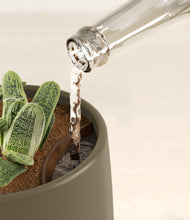 Load image into Gallery viewer, Earthy stand:all