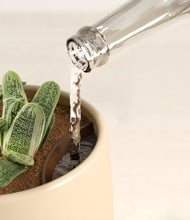 Load image into Gallery viewer, Sandy stand:all