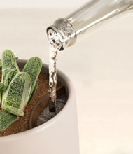 Load image into Gallery viewer, Woodland stand:all