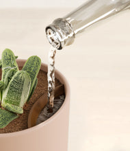 Load image into Gallery viewer, Sandy Pink stand:all