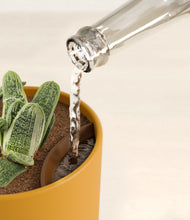 Load image into Gallery viewer, Sunset orange stand:all