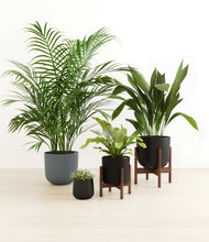 Load image into Gallery viewer, Charcoal stand:two_stands