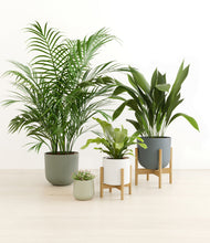 Load image into Gallery viewer, Earthy stand:two_stands