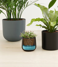 Load image into Gallery viewer, Charocal