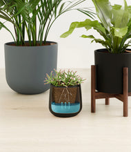 Load image into Gallery viewer, Charocal stand:two_stands