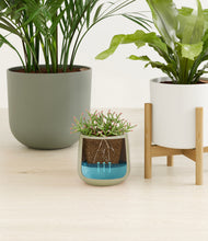 Load image into Gallery viewer, Earthy stand:two_stands