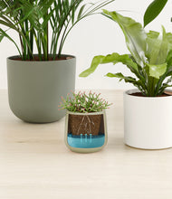 Load image into Gallery viewer, Earthy