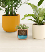 Load image into Gallery viewer, Evening Sky