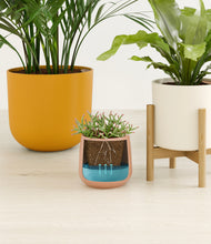 Load image into Gallery viewer, Evening Sky stand:two_stands