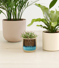 Load image into Gallery viewer, Sandy