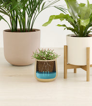 Load image into Gallery viewer, Sandy stand:two_stands