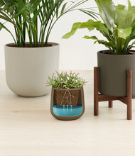 Load image into Gallery viewer, Woodland stand:two_stands