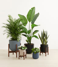 Load image into Gallery viewer, Charcoal stand:three_stands