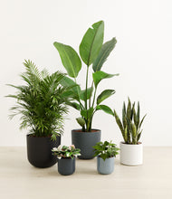 Load image into Gallery viewer, Pebble Shore*****Profile