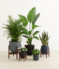 Load image into Gallery viewer, Stone stand:three_stands