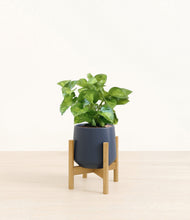 Load image into Gallery viewer, Deep Navy stand:bamboo