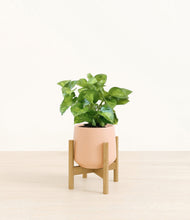 Load image into Gallery viewer, Gentle Pink stand:bamboo
