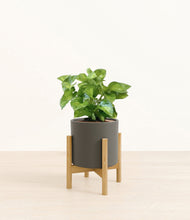 Load image into Gallery viewer, Dark Olive stand:bamboo