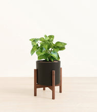 Load image into Gallery viewer, Black stand:walnut