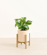 Load image into Gallery viewer, Cream stand:bamboo