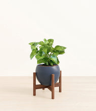 Load image into Gallery viewer, Deep Navy stand:walnut