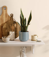 Load image into Gallery viewer, Misty Blue