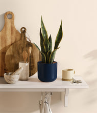 Load image into Gallery viewer, Twilight Blue