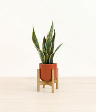 Load image into Gallery viewer, Glossy Red stand:bamboo