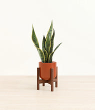 Load image into Gallery viewer, Glossy Red stand:walnut