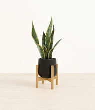 Load image into Gallery viewer, Black stand:bamboo