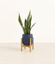 Load image into Gallery viewer, Deep Navy stand:bamboo