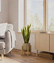 Load image into Gallery viewer, Olive stand:bamboo