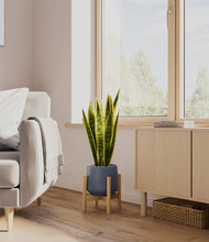 Load image into Gallery viewer, Deep Navy stand:bamboo