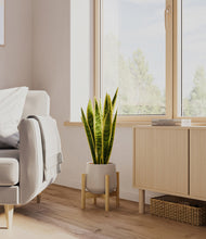 Load image into Gallery viewer, Eternal Gray stand:bamboo