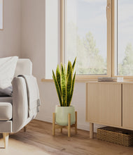 Load image into Gallery viewer, Turquoise stand:bamboo