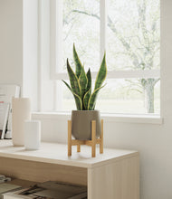 Load image into Gallery viewer, Olive stand:bamboo