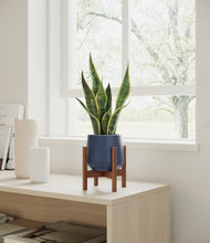 Load image into Gallery viewer, Deep Navy stand:walnut