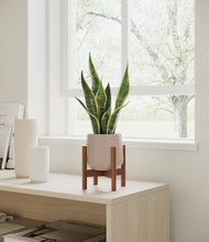 Load image into Gallery viewer, Eternal Gray stand:walnut