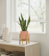 Load image into Gallery viewer, Calm Rose stand:bamboo