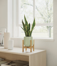 Load image into Gallery viewer, Turquoise stand:bamboo