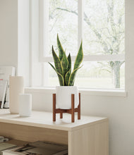 Load image into Gallery viewer, White stand:walnut