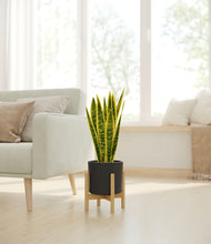 Load image into Gallery viewer, Black stand:bamboo