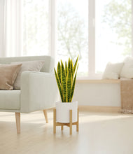 Load image into Gallery viewer, White stand:bamboo