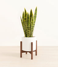 Load image into Gallery viewer, White stand:walnut