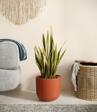 Load image into Gallery viewer, Earth Red