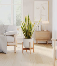 Load image into Gallery viewer, Natural Bamboo stand:bamboo