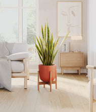 Load image into Gallery viewer, Earth Red stand:bamboo